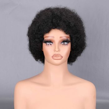 Wig066