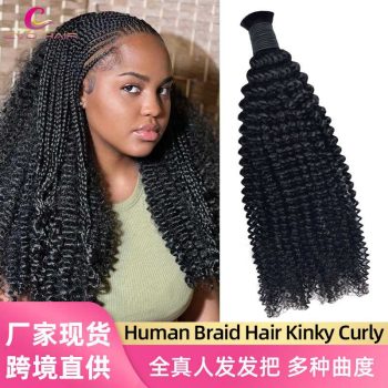 Wig164